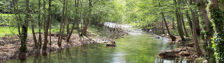 Riu La Muga - Albanyà